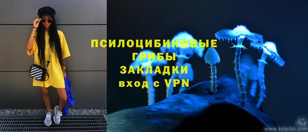 таблы Белокуриха